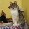 Отзыв от Гульнара Гончарова